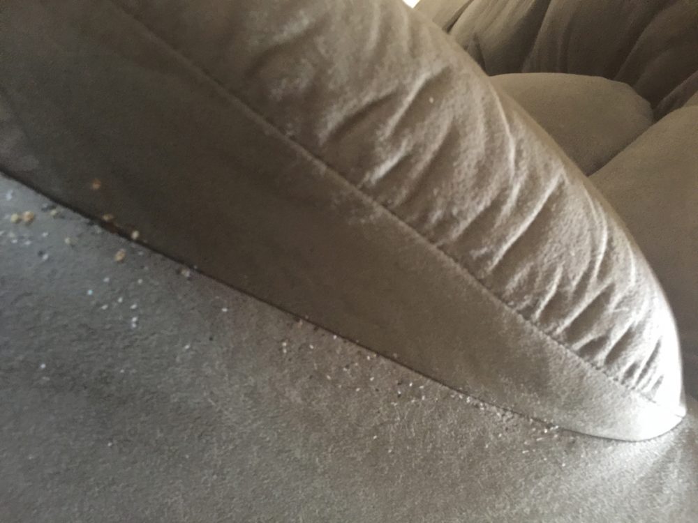 Residential Service – Pest Shield Solutions